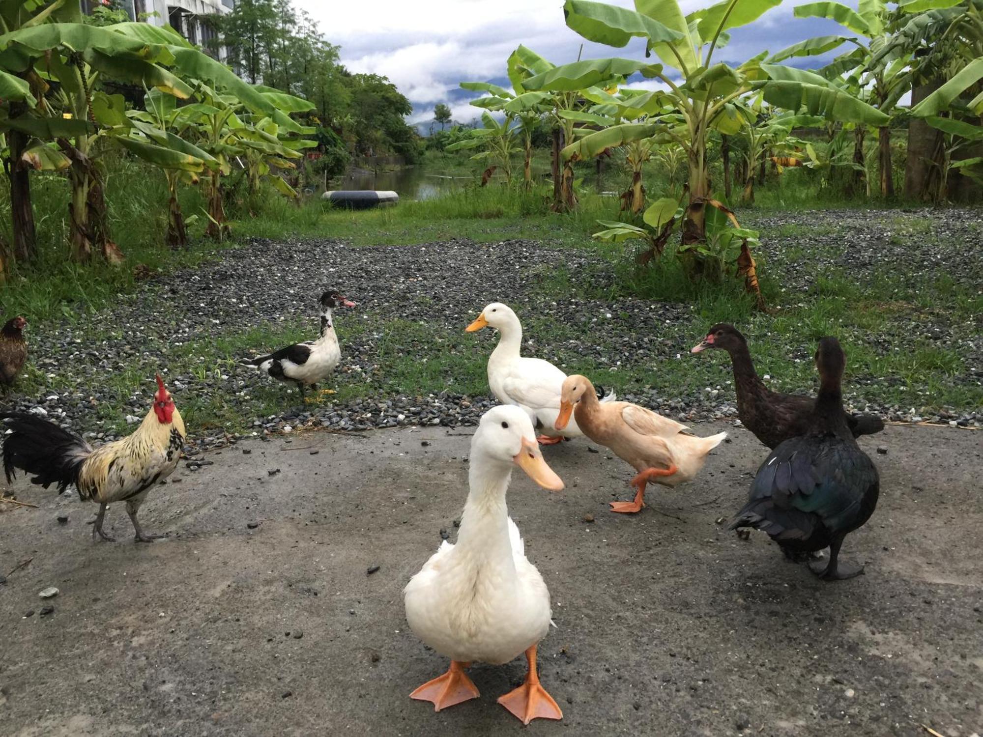 Beautiful Yilan Resort Донгшан Екстериор снимка